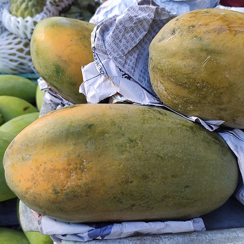 Đu đủ vàng 1 trái